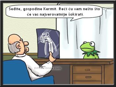 �abac Kermit kod doktora