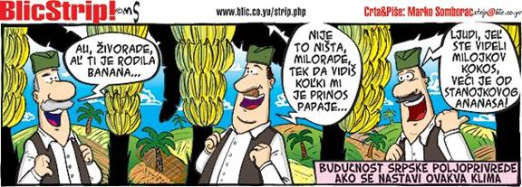 Blic strip; autor: Marko Somborac