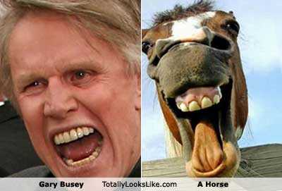 TLL Gary Busey & Konj