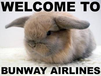 Bunway airlines