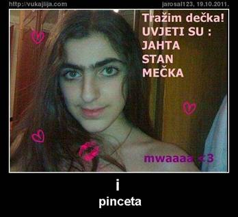 Pinceta