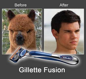 Gillette fusion