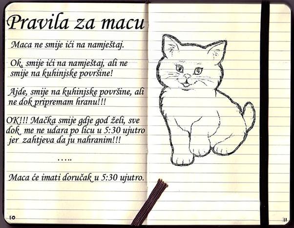 Pravila za macu