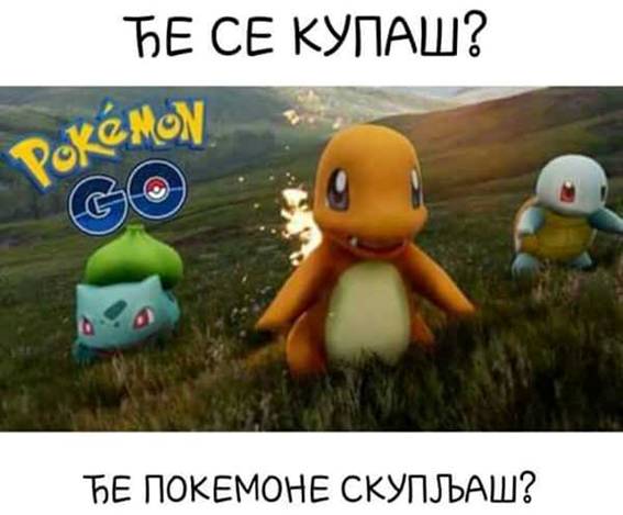 Pokemon Who see