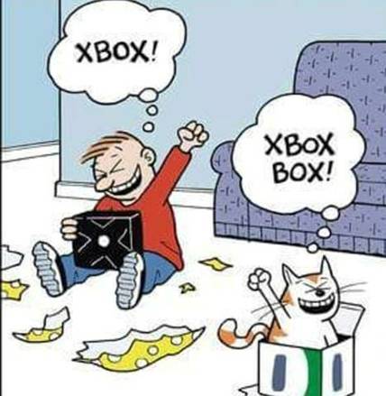 Xbox