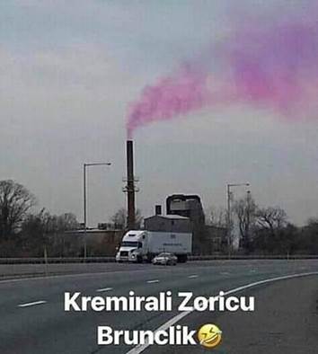 Kremiranje Zorice