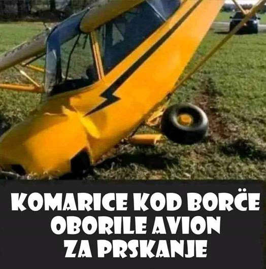 Komarice