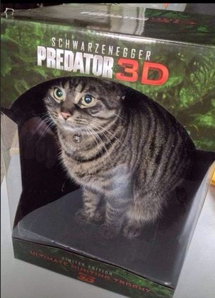 Predator