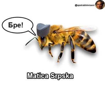 Matica srpska