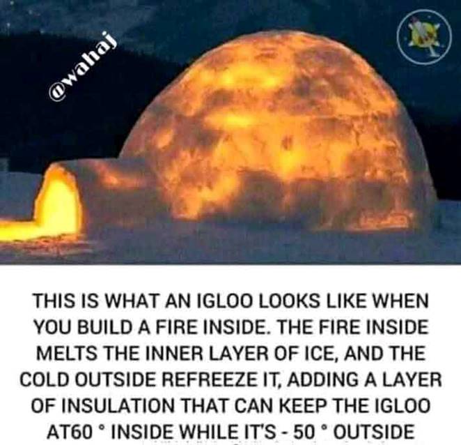 Iglo
