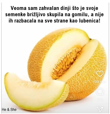 Dinja