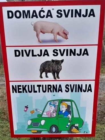 Svinje